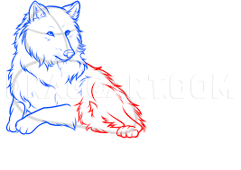 It's just a guide for the top part clawdeen wolf's head. How To Draw A White Wolf Step By Step Drawing Guide By Dawn Dragoart Com