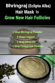 Safety of drug was also evaluated by conducting. How To Use Bhringraj To Grow New Hair Follicles Hair Buddha