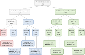 Strategies used by gay male HIV serodiscordant couples to reduce the risk  of HIV transmission from anal intercourse in three countries - Bavinton -  2019 - Journal of the International AIDS Society - Wiley Online Library