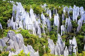 Taman negara gunung mulu adalah taman nasional di miri, sarawak, malaysia. Mulu National Park Adventure Alternative Borneo