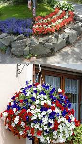 Red White And Blue Petunias Amazing White And Blue Flowers Blue Flowers Garden Flower Garden Plans