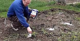 Mettez Ces 8 Ingredients Dans La Terre Pour Faire Pousser De Superbes Tomates Comment Planter Des Tomates Organiser Potager Planter Tomates