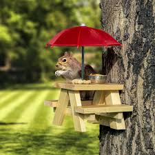 112m consumers helped this year. Squifty New Premium Gift For Squirrel And Chipmunk Lovers Squirrel Feeder Picnic Table With Blue Umbrella And Corn Cob Holder And Small Peanut Cup Wildlife Bird Animal Feeder Mounting Station Feeders Patio