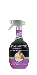 Maybe you would like to learn more about one of these? Stainmaster Carpet Pet Stain Odor Remover Cleaner 22 Ounce Amazon Com Grocery Gourmet Food