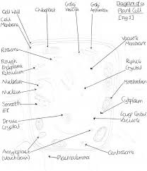 What Are Cyanobacteria And How Are They Similar Or Different