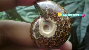 Check spelling or type a new query. Mbah Supeni Menjual Jimat Kol Buntet 30 Ribu By Kang Pardi Ponorogo