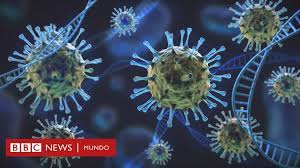 La última que ha acaparado la atención es lambda o c.37. Variante Andina Lambda Que Se Sabe De La Nueva Variante Que Circula En Varios Paises De Sudamerica Y Por Que Preocupa A La Oms Bbc News Mundo