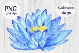Lotus flower svg free, hd png download. Watercolor Lotus Flower Png Botanical Sublimation Design 438244 Sublimation Design Bundles