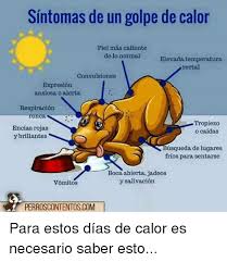 Resultado de imagen para Golpe de calor