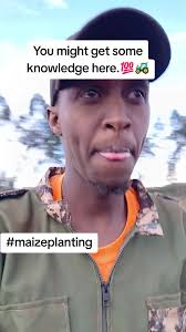 Beans Farming in Malawi