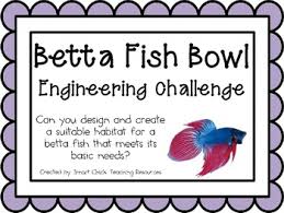 Betta Fish Bowl Engineering Challenge Project Great Stem Activity Engineering Challenge Stem Activities Stem Lesson