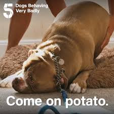 "Walkies!" It's a no from Spudley...