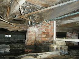 If moisture is a problem, it is important to identify the source of water. Lake Home Crawl Space Do S And Don Ts Innovative Basement Authority