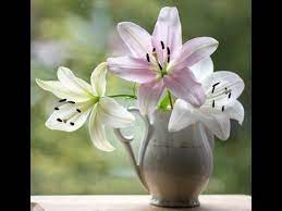 May Lily Flower Of The Month Acrylic Painting Live Tutorial Youtube Flower Art Painting Tutorial Lily Flower