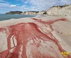 Un oltraggio alla bellezza, è vandalismo vigliacco, sono state le parole di nello musumeci, presidente della regione sicilia. 1bel2vkd Adaam