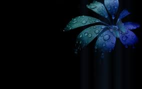 Remove background in bulk online for pictures of various categories: Professional Wallpapers 64 Best Professional Wallpapers And Images On Wallpaperchat