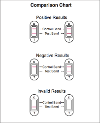 Ovulation Midstream Test Results And Instructions Www