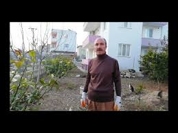 Topragin Bereketi Meyve Agaclarinda Gubreleme 5 Subat 2018 Youtube