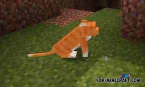 Walmart.com has been visited by 1m+ users in the past month Plushies Addon V2 0 For Minecraft Pe 1 16 0 1 16 1