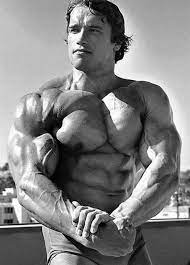 Arnold Schwarzenegger Austria 30 July 1947 Usa Height 6 Foot 2 188 Arnold Schwarzenegger Bodybuilding Schwarzenegger Bodybuilding Arnold Schwarzenegger