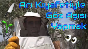 Goz Kabuk Asilari Nasil Ve Ne Zaman Yapilir Youtube