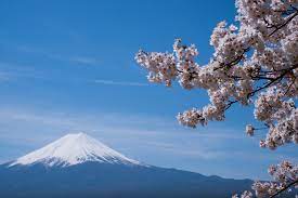 Don T Miss How To Choose The Best Mt Fuji Tour From Tokyo Updated June 2020