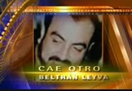 Noticiero Univision Fin de Semana : WFDC : January 3, 2010 6:30pm-7:00pm  EST : Free Borrow & Streaming : Internet Archive