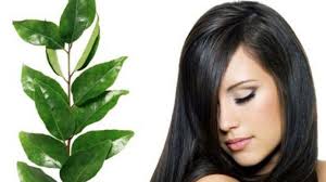 It will yield better results if you go for something. 6 Natural Ways To Cover Grey Hair Keep The Chemical Hair Dyes Away Indian Fashion Blog
