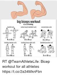 The hammer curl is a simple variation of the biceps curl that helps to target additional muscles in the upper and to prepare for the exercise, stand with your shoulders relaxed and arms at your sides. Image Result For Factsoftraining Big Biceps Workout Biceps Workout Big Biceps