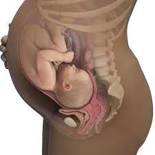 40 Weeks Pregnant Symptoms Signs Babycenter