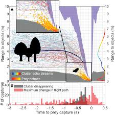 We've all lost sleep over smoke detector problems at one time or another. Hunting Bats Adjust Their Echolocation To Receive Weak Prey Echoes For Clutter Reduction Science Advances