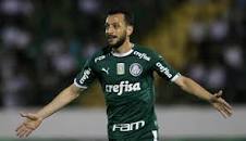 Resultado de imagem para imagens edu dracena palmeiras