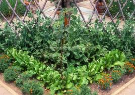 When you make garden stepping stones, you (and the kids) can exercise creativity, ranging from the use of stains to the assembling of mosaics. Pin By Julie Roller On Food Production Summer Vegetables Garden Vegetable Garden For Beginners Raised Vegetable Gardens