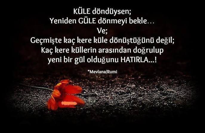 G�n�n S�z� 29.03.2020