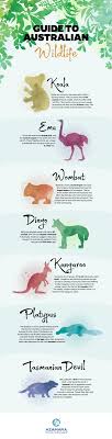 Infographic Australian Wildlife Australia Animals Australian Wildlife Australia Travel