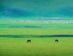 呼伦贝尔大草原，内蒙古草原风光最为绚丽的地方– Big Kuala Lumpur 大吉隆坡