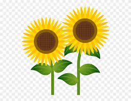 Free Free 294 Transparent Background Sunflower Clipart Sunflower Png SVG PNG EPS DXF File