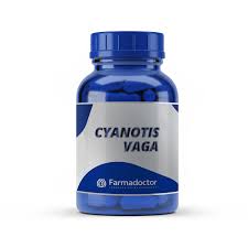 Image result for Cyanotis vaga