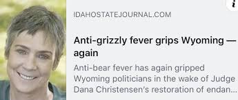 Conservation groups challenge grizzly bear delisting