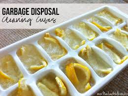 Popular social media videos demonstrate how to clean your garbage disposal with ice and hot water, but this kitchen cleaning trick might not to clean your garbage disposal the proper way, combine ice with salt, which helps scrub the blades clean, and lemon to neutralize odors and create. Homemade Garbage Disposal Cleaning Cubes The Family Freezer