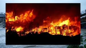 Image result for tbn:XVFRz-6Maj2JLM::www.jolmag.co.za/wildfire/images/Logos/vuvuzela_header.jpg