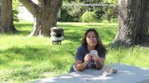 Pencil cactus is a tall succulent with long, spindly branches. Product Review Eco Plant Pals By Dune Craft Youtube
