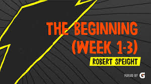 The Beginning (week 1-3)