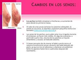Cambios Fisicos En El Embarazo Ppt Video Online Descargar