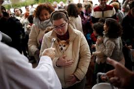 See more of the patron saint of dogs on facebook. Animal Owners Have Their Pets Blessed On Saint Anthony Day In Madrid Daily Sabah