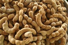 Image result for Tamarindus