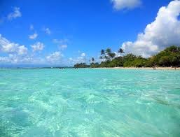 Petits Paradis Plage De Bois Jolan Guadeloupe La Guadeloupe St Anne Guadeloupe