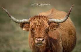 Best voted race tracks in highland, california. Flickriver Most Interesting Photos From 400mm F2 8 Is Pool