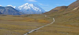 The depot is located several miles from most hotels and taxi. Denali Nationalpark Bus Tour