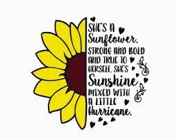 Sunflower Quote Svg Etsy